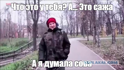 Обычная сажа