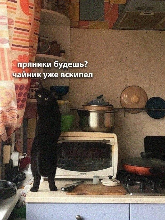 Разные картинки 03.08.26