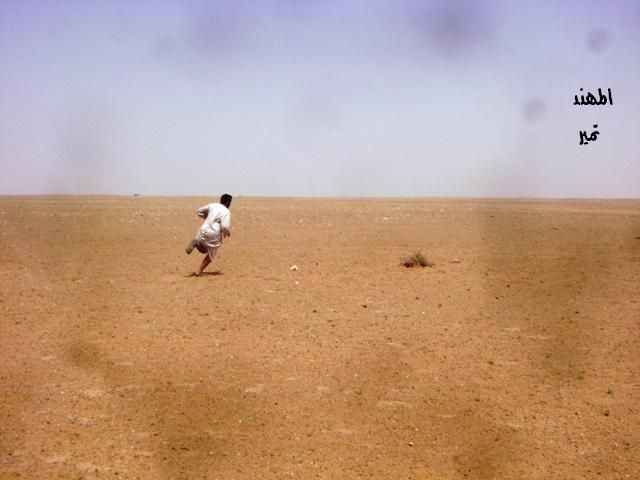 Арабская охота (16 фото)