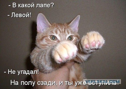 Он видел ужасные вещи...