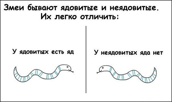 Она не дикая