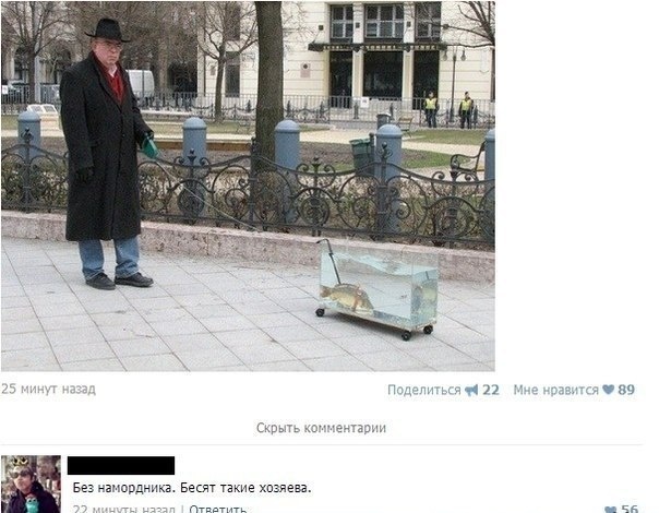 Смешные комментарии из социальных сетей