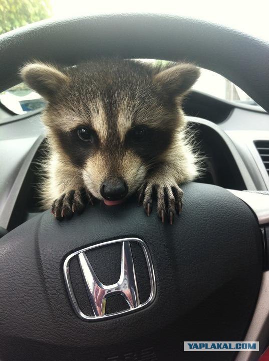 удалить! тест !