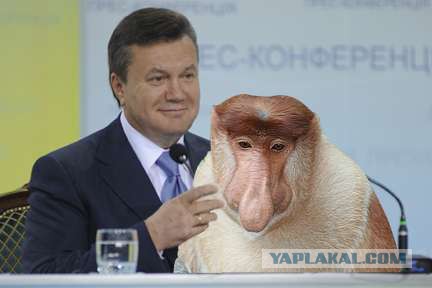 И как теперь быть?