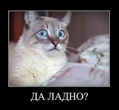 Новая Псаки
