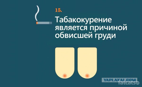 Очевидно, но факт