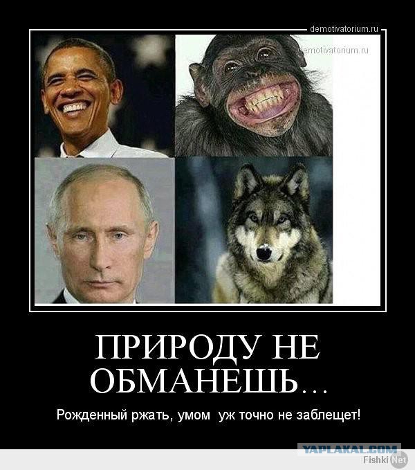 Пожабим Обамку?