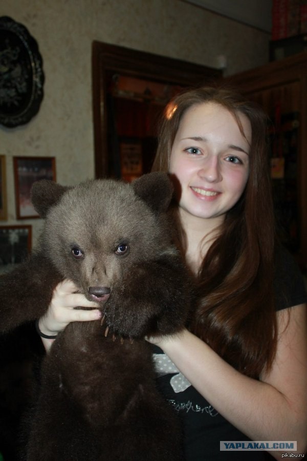 Медведь есть, балалайка есть...