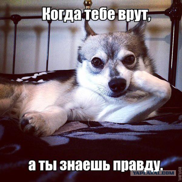 Смешное из сети #2