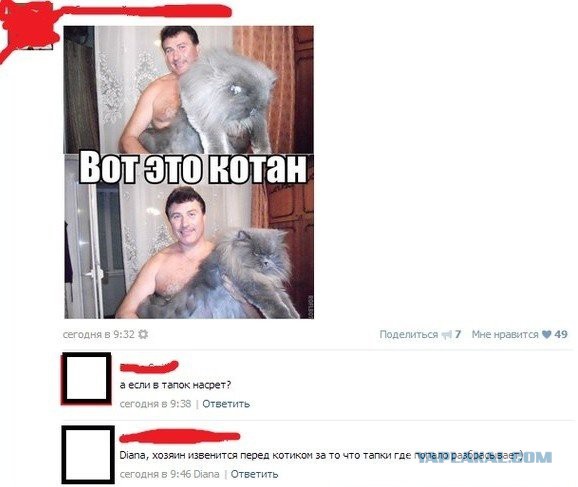Комментарии из Соцсетей