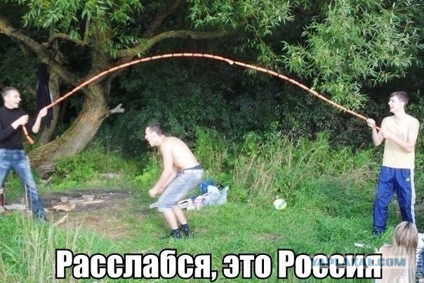 Весёлые картинки