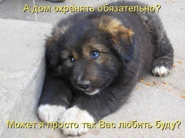 Забавные картинки из интернетов