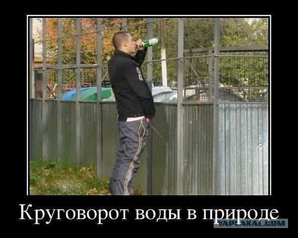 Стадии алкоголизма
