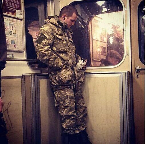 Забавные картинки