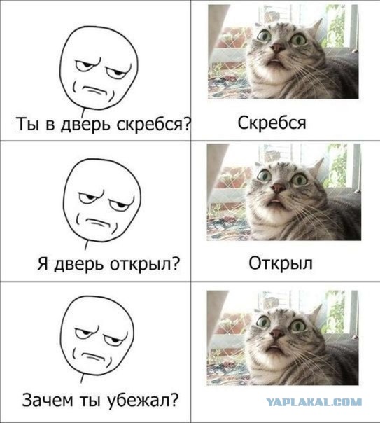 Картинки из инета