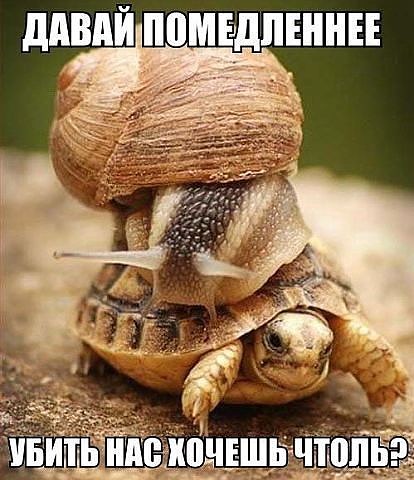 Картинки из инета