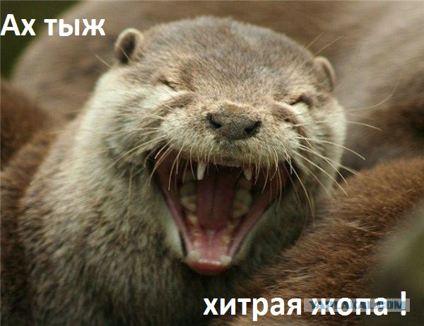 Такие дела