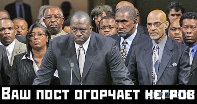 Вот как тут не стать расистом?!