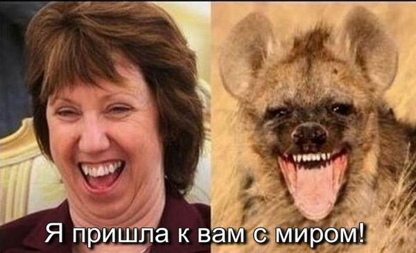 Гиена сносит буйвола (18+)
