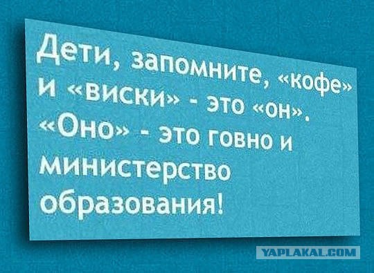 Картинки и гифки.