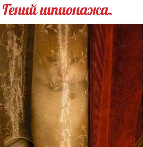 А давайте улыбнёмся