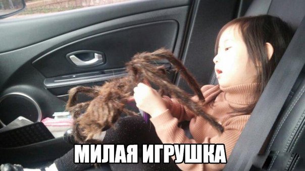 Ужасы и приколы из соцсетей 18+
