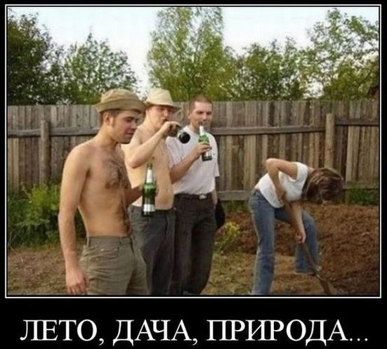 Подборка картинок