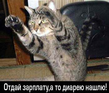 Даю установку!