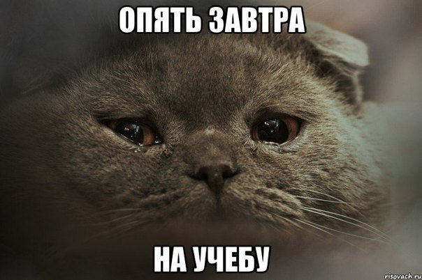 Подборка картинок