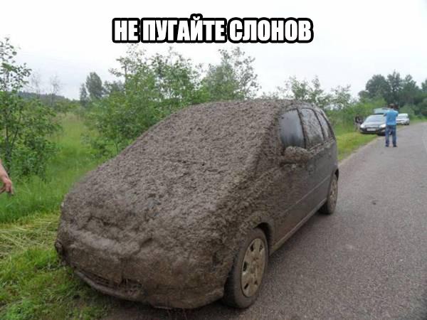 Ужасы и приколы из соцсетей