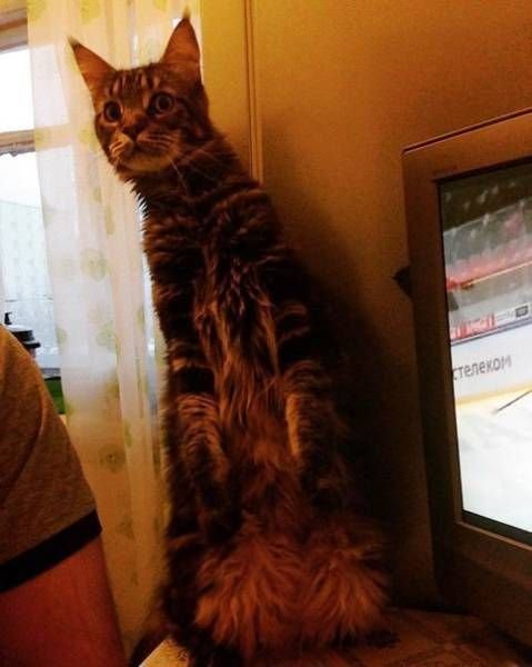 Подборка интересных и прикольных картинок