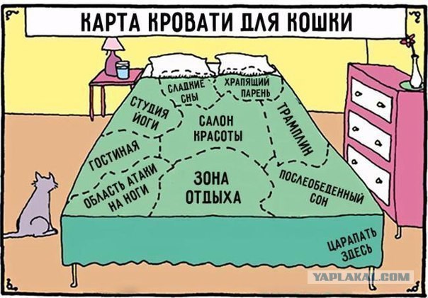 Комментарии и картинки из соцсетей