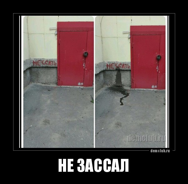 Картинки всякие