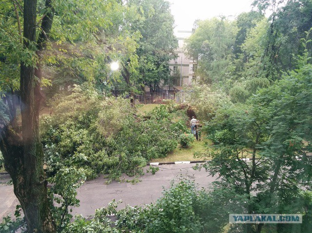 Сильная гроза в Москве и ее последствия