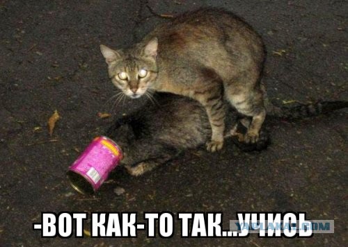 Подборка частицы смеха...