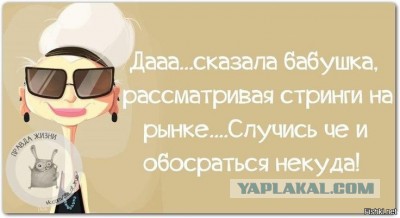 Порция картинок из сети
