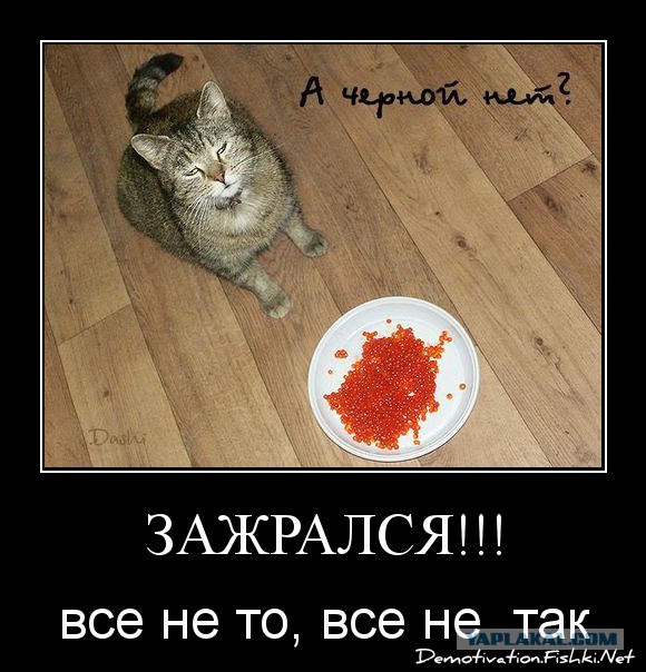Бывшая анорексичка гордится новообретенными складками на животе