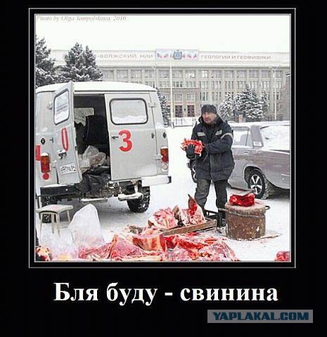 Картинки в черных рамках с подписями
