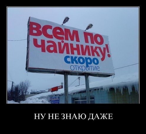 Подборка безудержного веселья