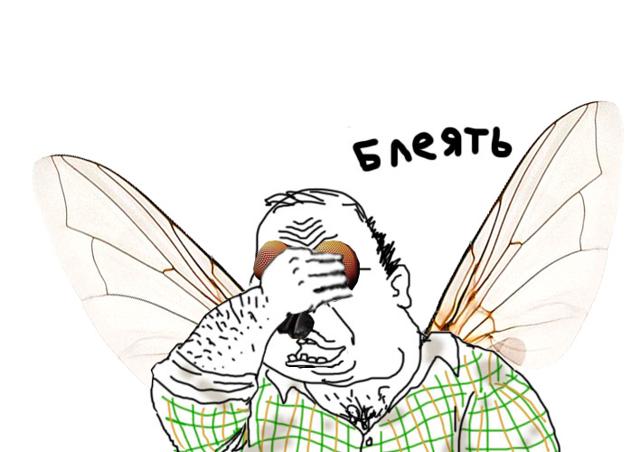 Бляха муха рисунок