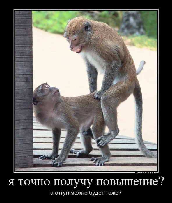 Асоциальных и не только картинок пост