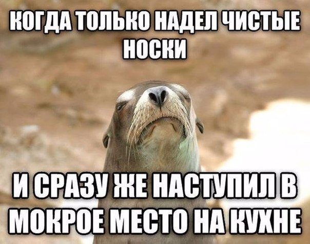 Подборка интересных и веселых картинок