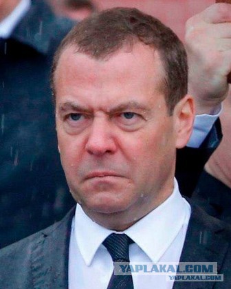 Как живется людям маленького роста