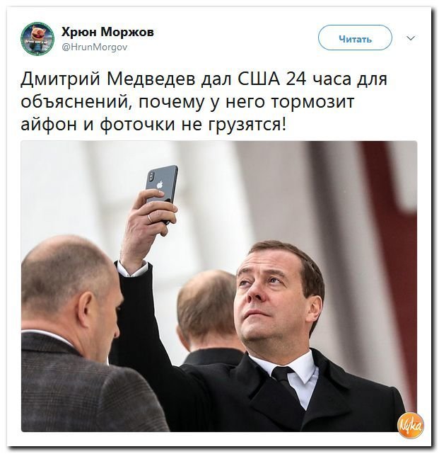 Хвост вильнул собакой - Новичок это подстава?