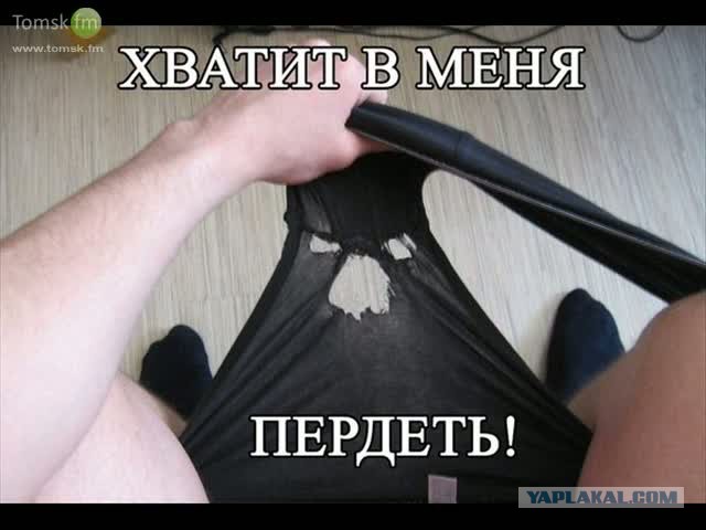 Итоги проверки пользователей
