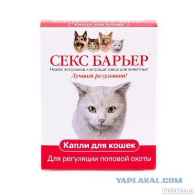 Одиночество мужчин