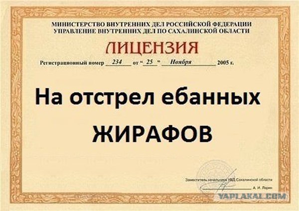 Первый рожденный жирафик в 2012 году