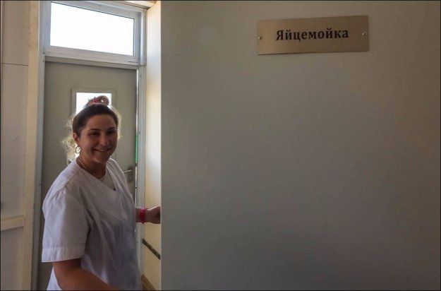 Яйца раздора: мыть или не мыть
