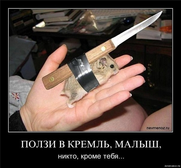 В Сербии набирают обороты массовые протесты против президента: на улицы вышли тысячи людей