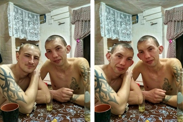Скотсети и прочие интернеты 05.04.19